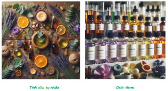 Tinh dầu và chất thơm:  Bạn chọn gì cho sức khỏe và sắc đẹp?